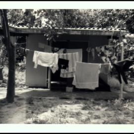 Biological Society Excursion to Heron Island