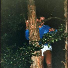 Andrew Ford in Tree at Warrah