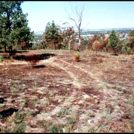 Peter McGee in Griffith