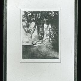 Vice-Chancellor's Courtyard