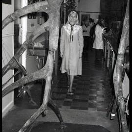 XIII International Botanical Congress Mangrove Exhibition