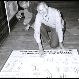 XIII International Botanical Congress Poster Display