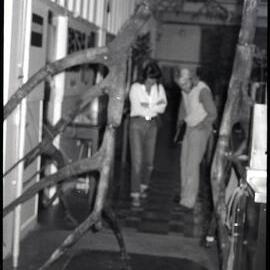 XIII International Botanical Congress Mangrove Exhibition