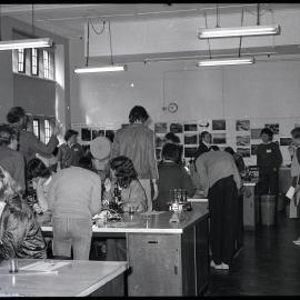 XIII International Botanical Congress Youth Programme