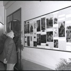 XIII International Botanical Congress Poster Display