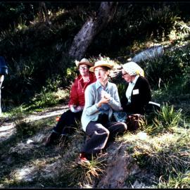 XIII International Botanical Congress Field Trip, Lunch at Maitland Bay