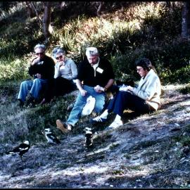 XIII International Botanical Congress Field Trip, Lunch at Maitland Bay