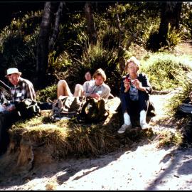 XIII International Botanical Congress Field Trip, The Watagans