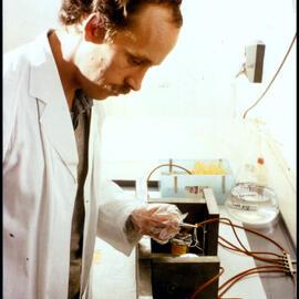 Botany Staff Member Rob Reid at Work