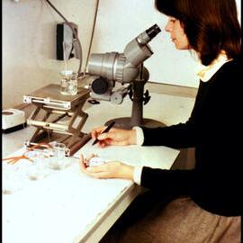 Botany Staff Member Carolyn Carter at Work