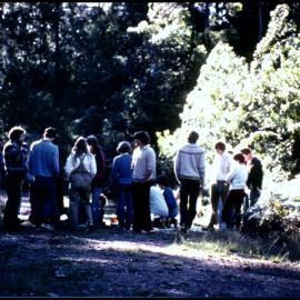 Botany Students Examine Vegetation at Cabbage Tree Mountain