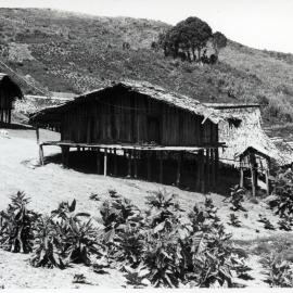 Building on Hillside