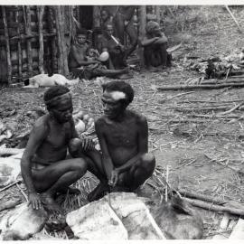 Groups Gathered Around Pig Carcasses