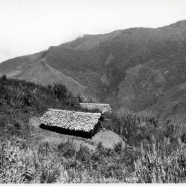 Buildings on Mountainside