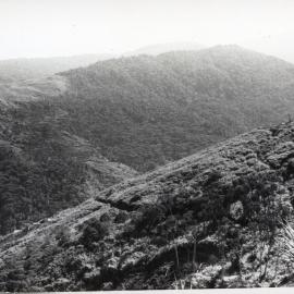 Mountainside, Papua New Guinea