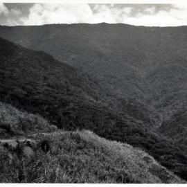 Mountainside, Papua New Guinea
