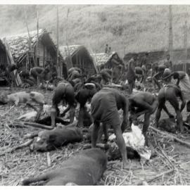 Group Preparing Pigs for Ceremony