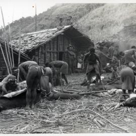 Group Preparing Pigs for Ceremony