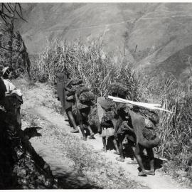 Group with Net Bags on Mountainside