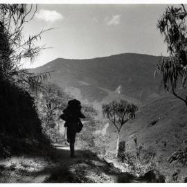 Figure Walking on Mountain Path