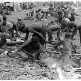 Men and Children Butchering Pigs