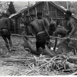 Group Preparing Pigs for Ceremony