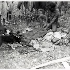 Man Butchering Pig