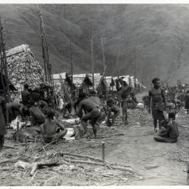 Group Preparing Pigs for Ceremony