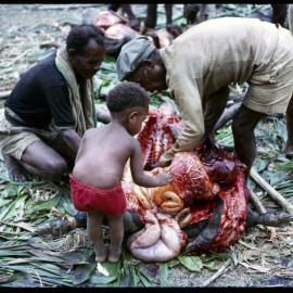 Butchering Pigs for Ceremony