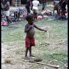 Boy Holding Sticks while Men Butcher Pigs in Background