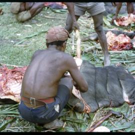 Butchering Pigs for Ceremony