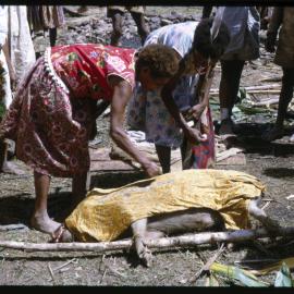 Women Preparing Pigs for Ceremony