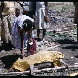 Women Preparing Pigs for Ceremony
