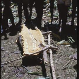 Women Preparing Pigs for Ceremony
