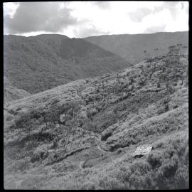 Valley, Papua New Guinea
