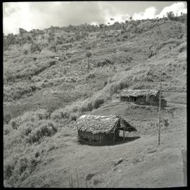Two Buildings on Hillside