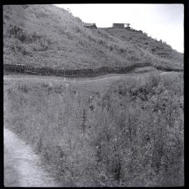 Hill Path, Papua New Guinea
