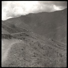 Hill Path, Papua New Guinea