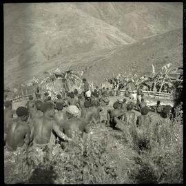 Group Seated, Facing Fence