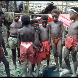 Boys Standing on Pigs