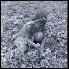 Woman with Net Bag in Field