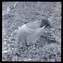 Woman with Net Bag in Field
