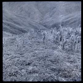 Mountainside With Line of Figures in Distance