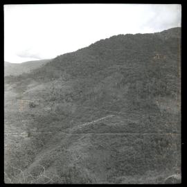 Mountainside, Papua New Guinea