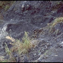 Narrow Mountain Path, Papua New Guinea