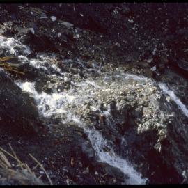Flowing Water over Rocks