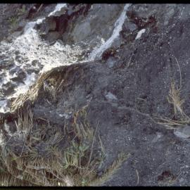 Flowing Water over Rocks