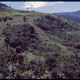 Mountainside, Papua New Guinea