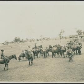 Kimberley Mustering Point