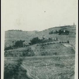 Mount of Olives 
